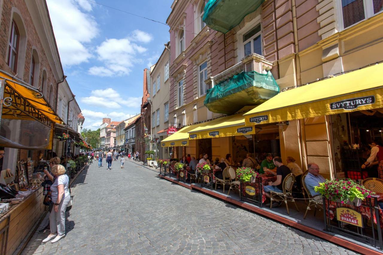 New Quiet Cozy City Center apartment Wilno Zewnętrze zdjęcie